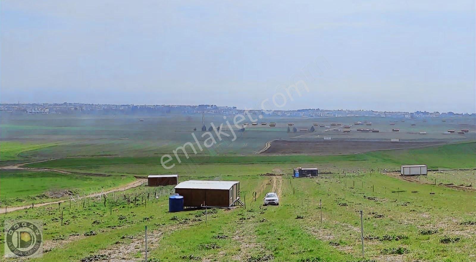 Tekirdağ Marmaraereğlisi De Ful Deniz Manzaralı Satılık Arsalar - Görsel 15