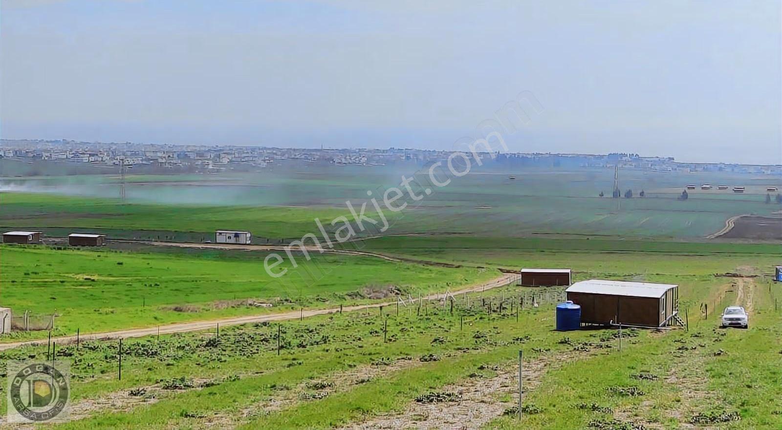 Tekirdağ Marmaraereğlisi De Ful Deniz Manzaralı Satılık Arsalar - Görsel 5