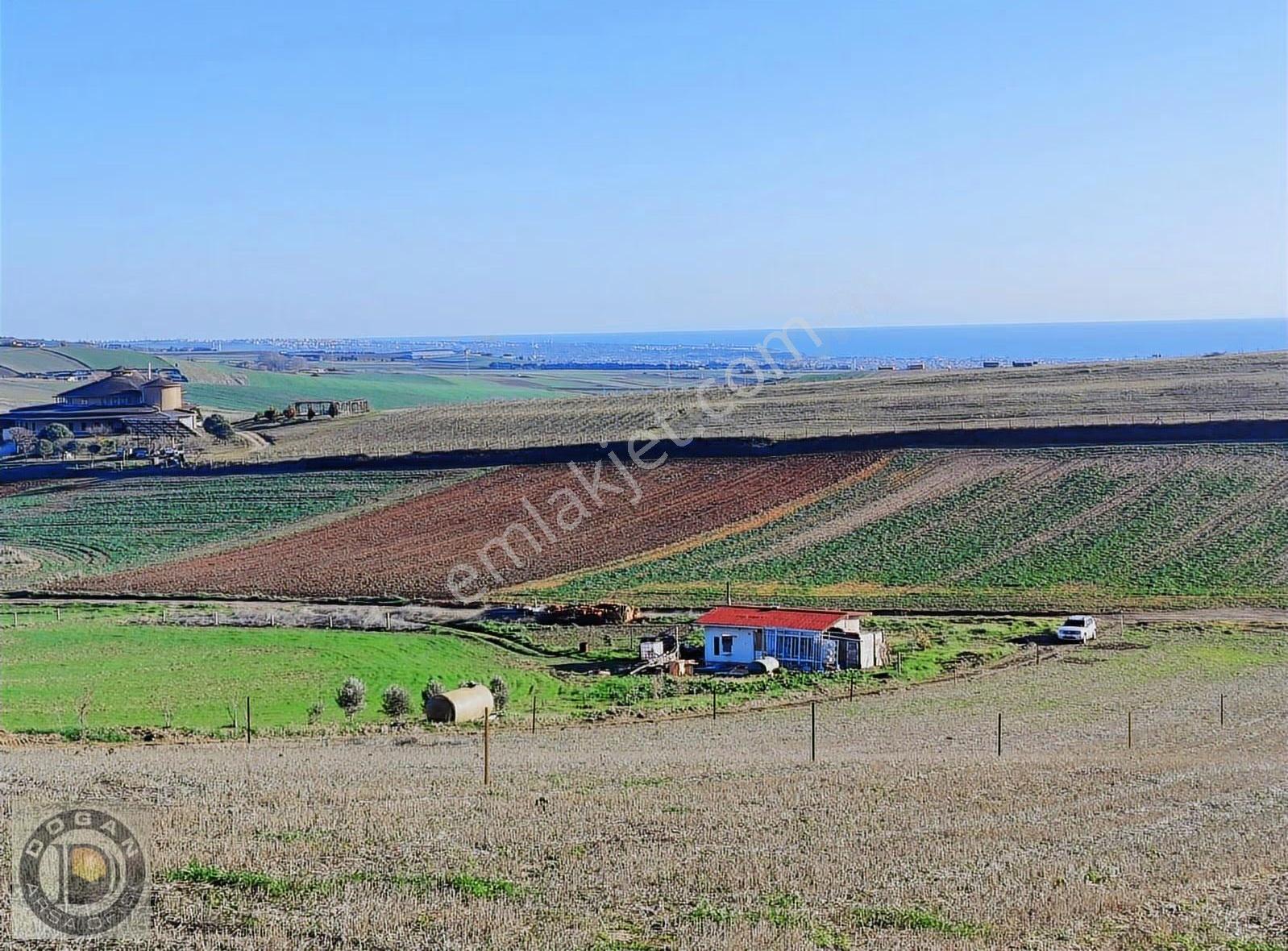 Marmaraereğlisi Çeşmelide Çok Uygun Fiyatta Kelepir Arsalar - Görsel 6