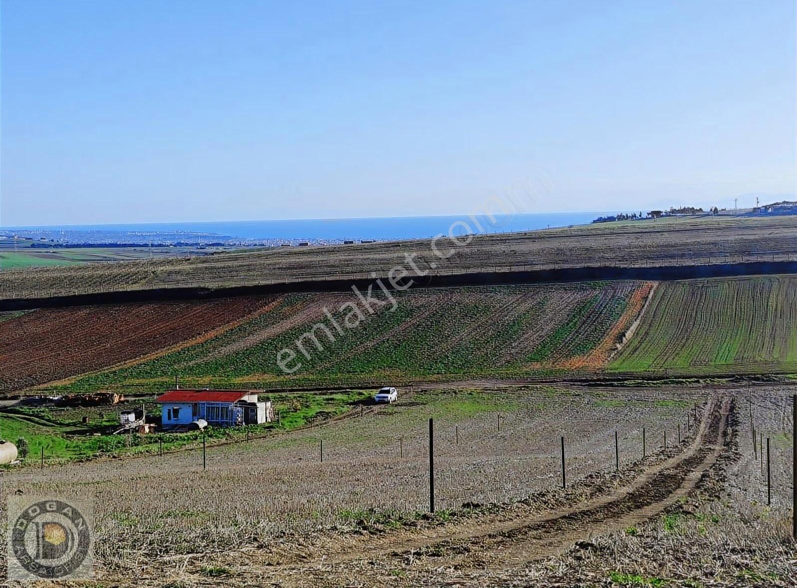 Marmaraereğlisi Çeşmelide Çok Uygun Fiyatta Kelepir Arsalar - Görsel 2