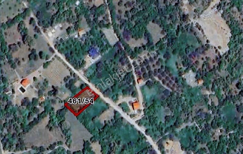 Antalya İbradi Ormana Fidan Arası Mevkii 1073m² Yatırımlık Tarla
