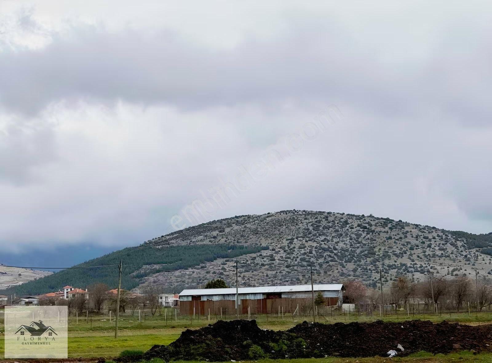 Florya Gayrimenkulden Satılık Tarla - Görsel 8