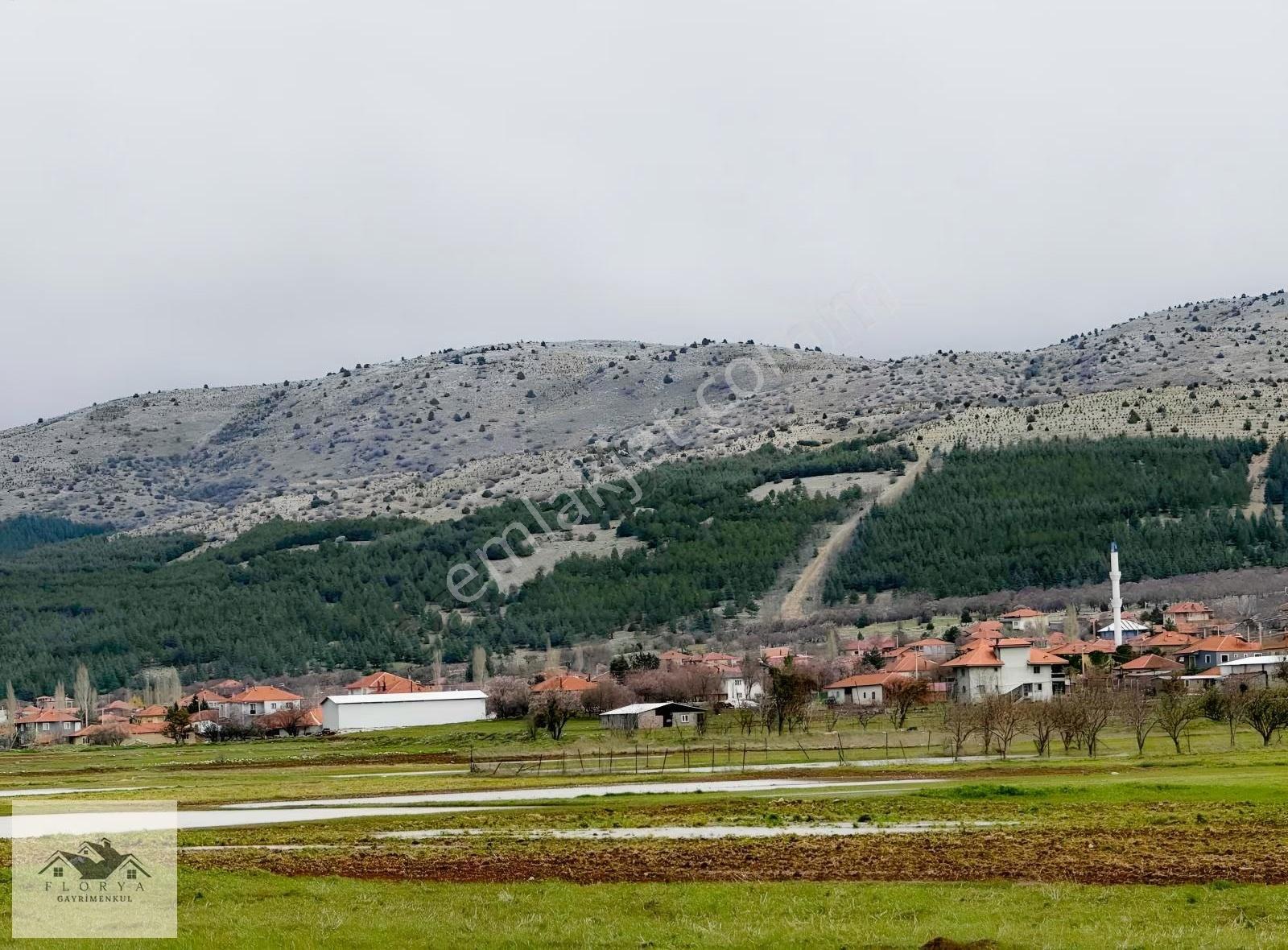 Florya Gayrimenkulden Satılık Tarla - Görsel 9