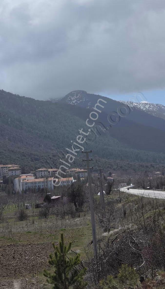 Çameli Yumrutaşta 1350 M² Tokiye 150 M Satılık Tarla - Görsel 2