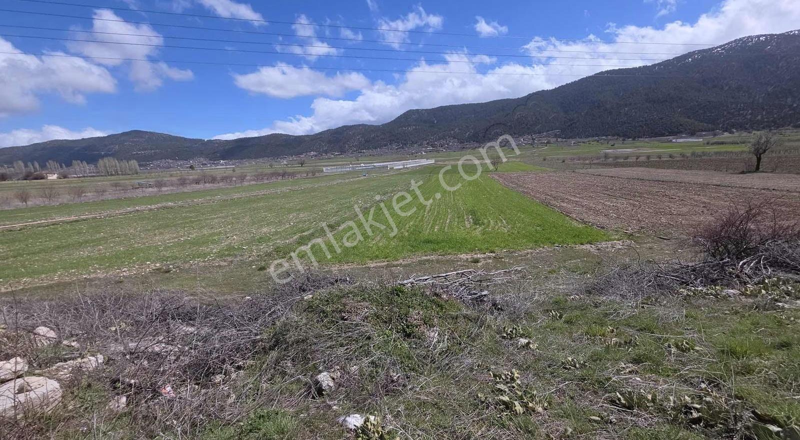 Çameli Yumrutaşta 1350 M² Tokiye 150 M Satılık Tarla - Görsel 4