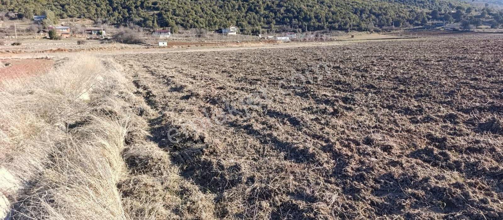 Denizli Çameli Belevinde Satılık 3650 M2 Tarla - Görsel 2