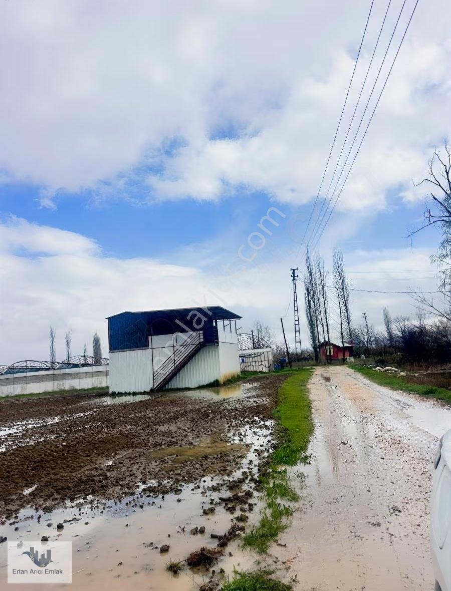 Elmalı Akçay Da Kelepir Sera& Bahçe... - Görsel 4