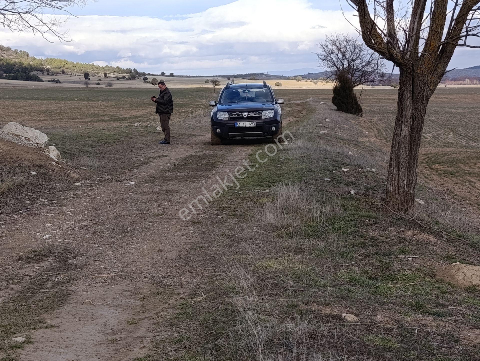 Kütahya Altıntaş Pınarcık Köyü Fırsat Arazi Kelepir Yerler - Görsel 24