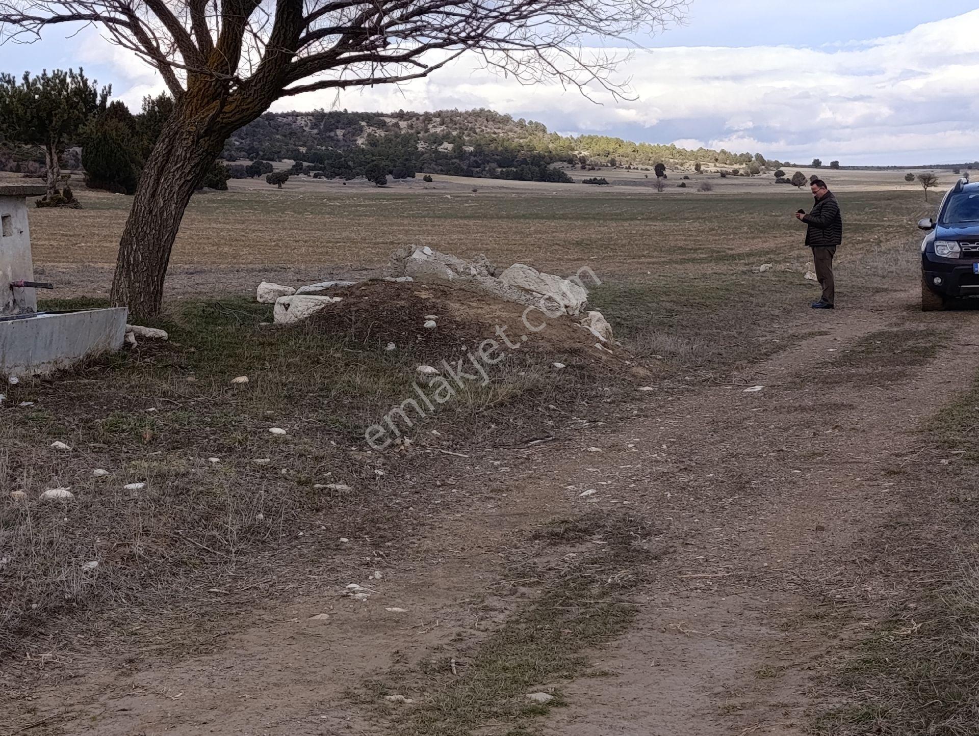 Kütahya Altıntaş Pınarcık Köyü Fırsat Arazi Kelepir Yerler - Görsel 23