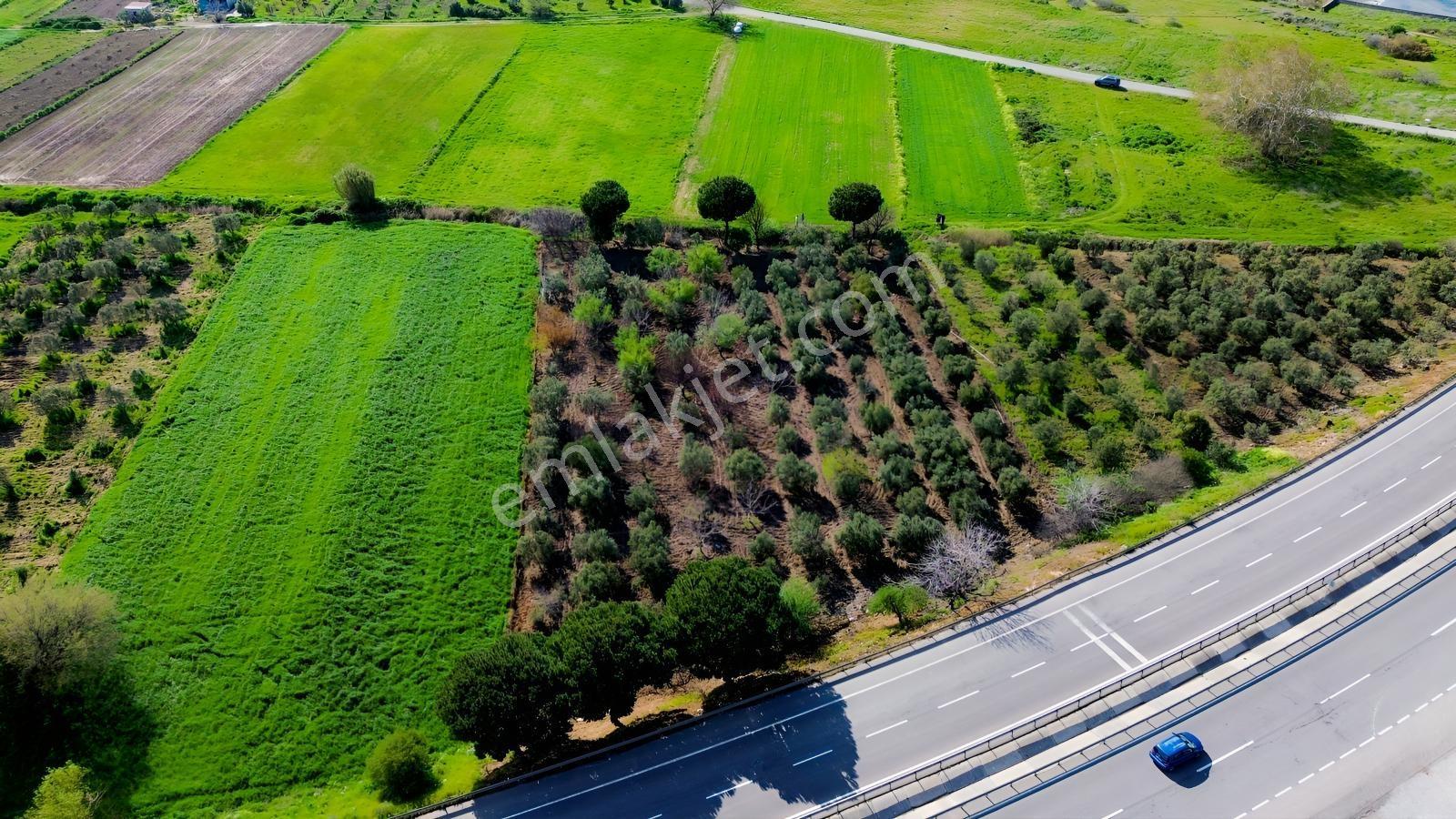 Bahçeli Mah.anayola Cephe Satılık Tarla 3.385 M² - Görsel 34