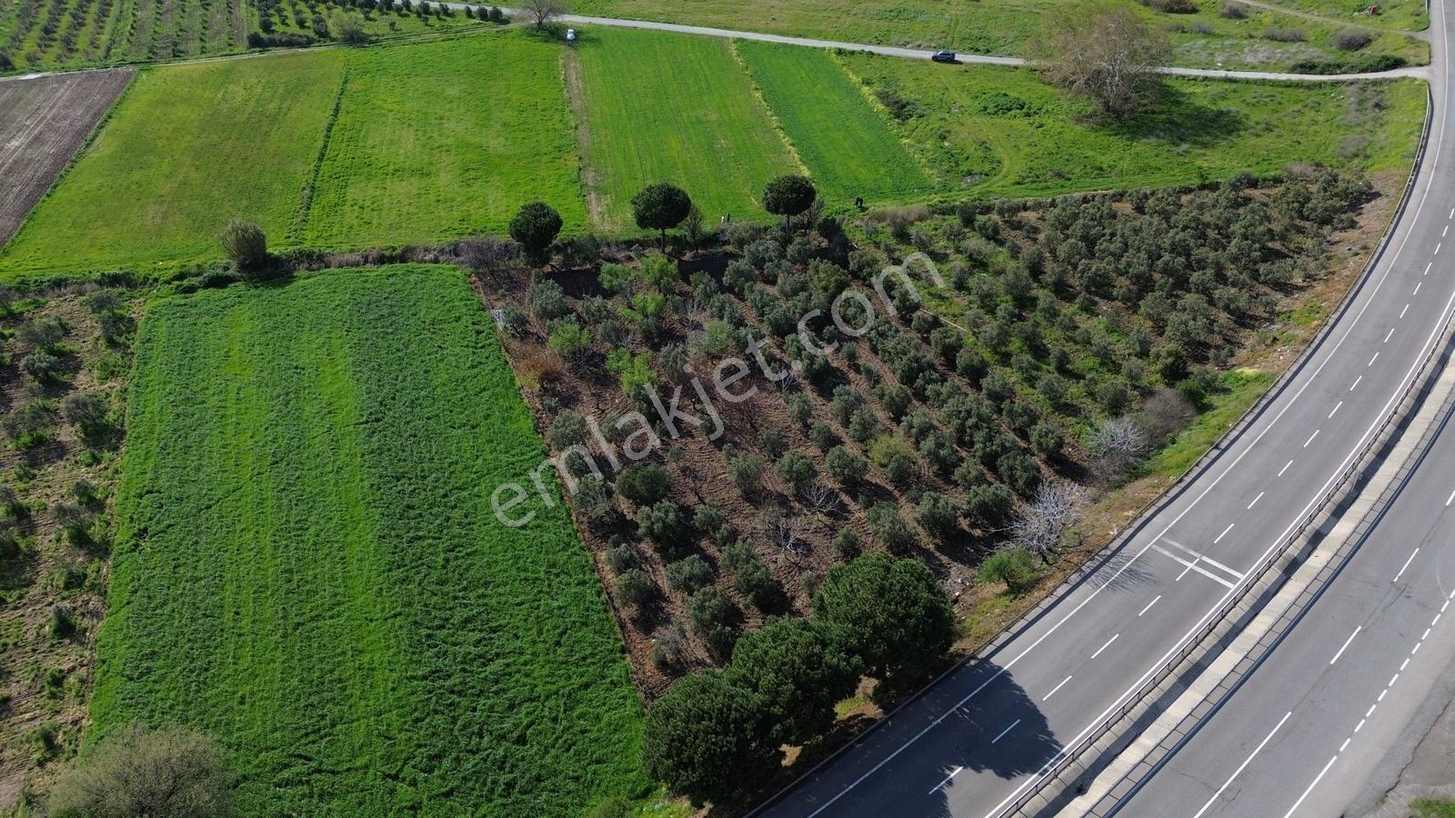 Bahçeli Mah.anayola Cephe Satılık Tarla 3.385 M² - Görsel 17