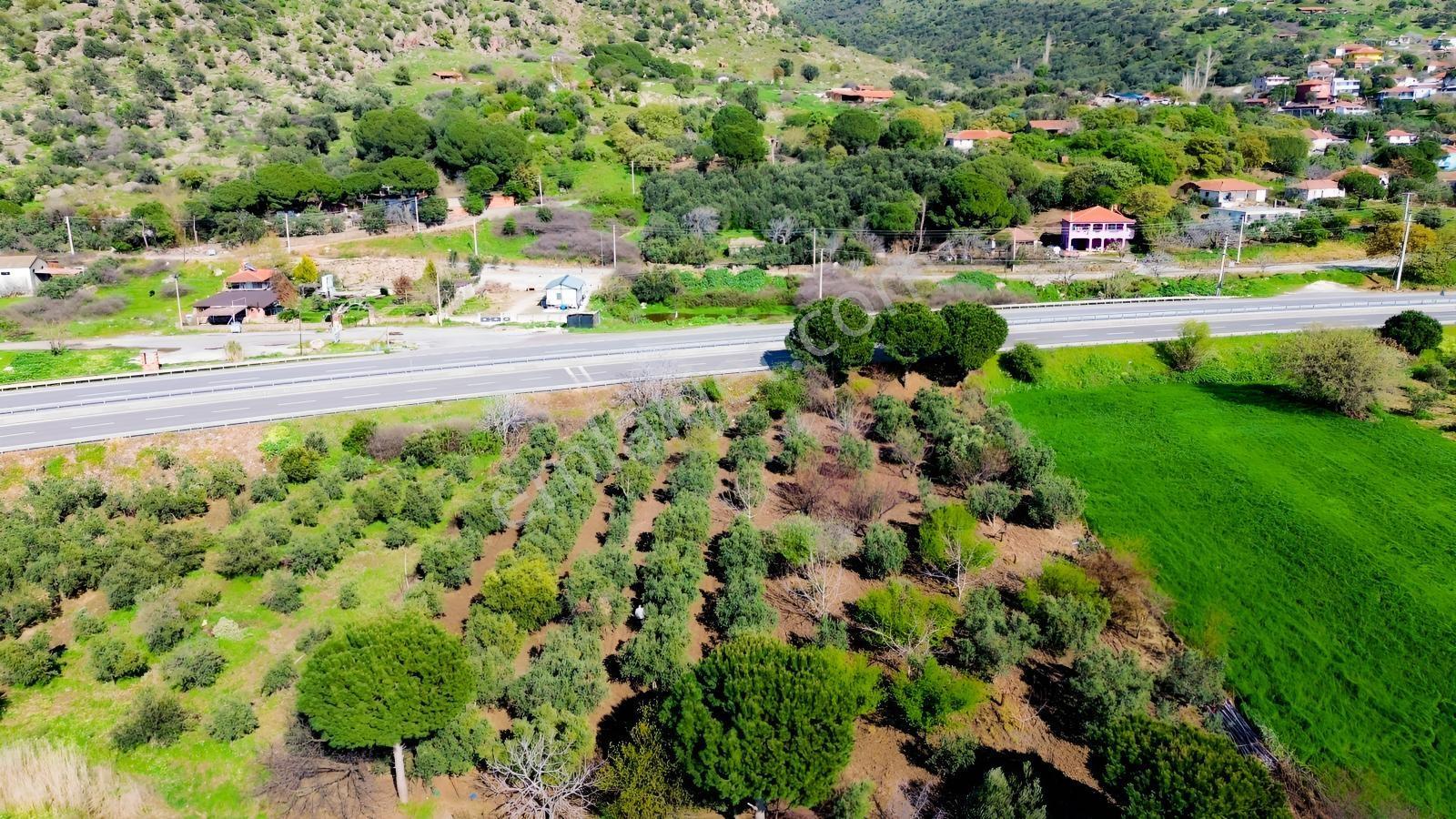 Bahçeli Mah.anayola Cephe Satılık Tarla 3.385 M² - Görsel 21