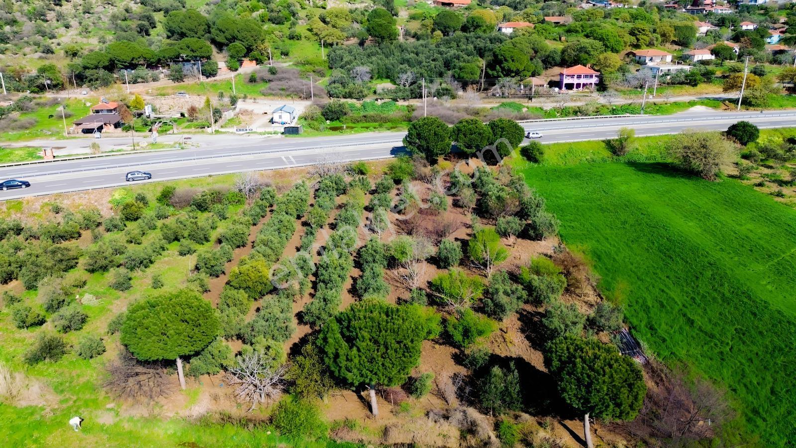 Bahçeli Mah.anayola Cephe Satılık Tarla 3.385 M² - Görsel 31