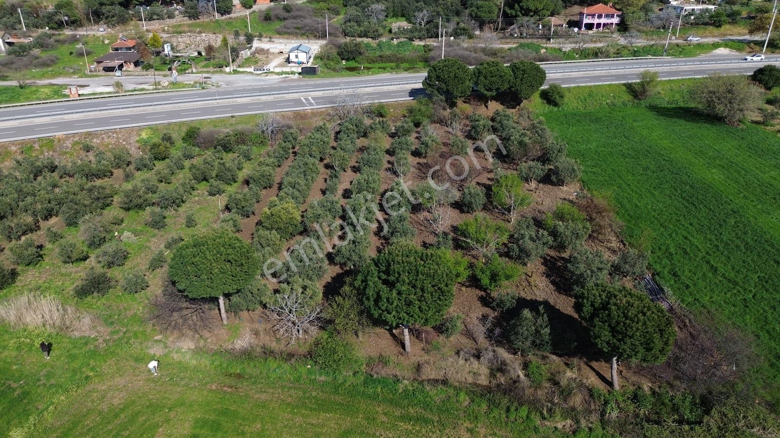 Bahçeli Mah.anayola Cephe Satılık Tarla 3.385 M² - Görsel 19