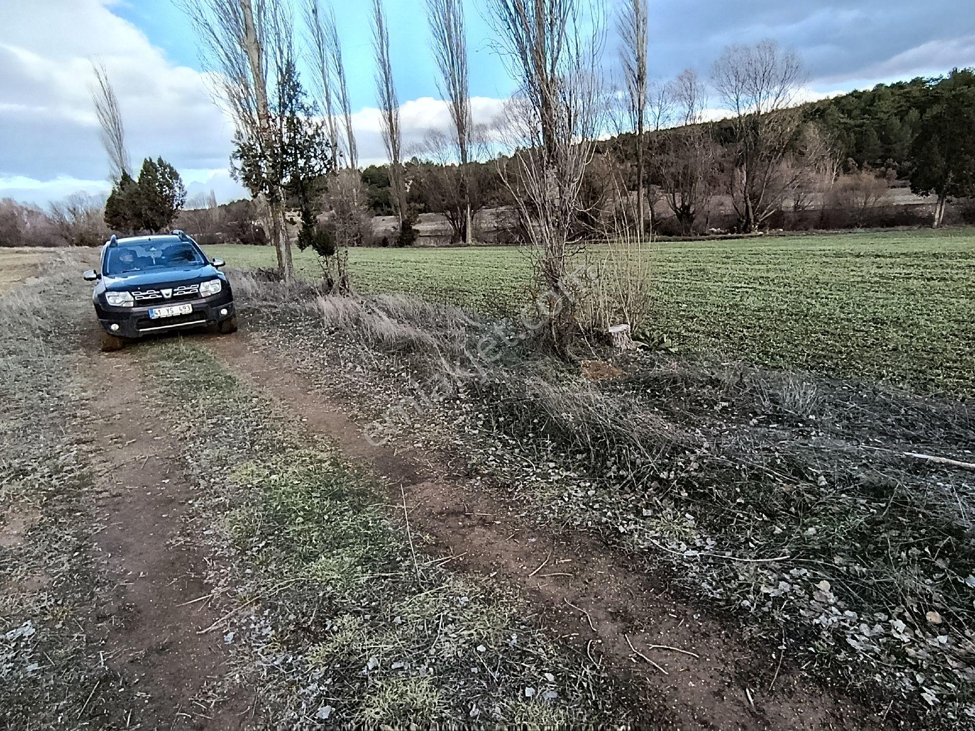 Kütahya Altıntaş Pınarcık Köyü Fırsat Ürün Tarla Arsa Arazi Bağ Bahçe - Görsel 12