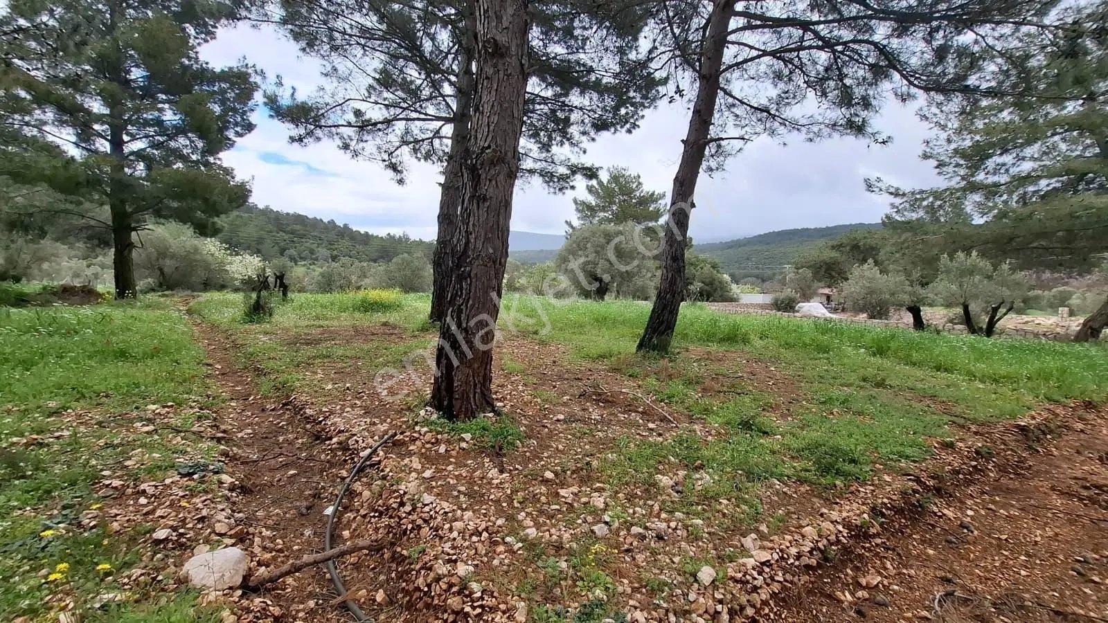 Acil Satılık Güvenlikli Sitede Elektrik Ve Suyu Olan Parsel