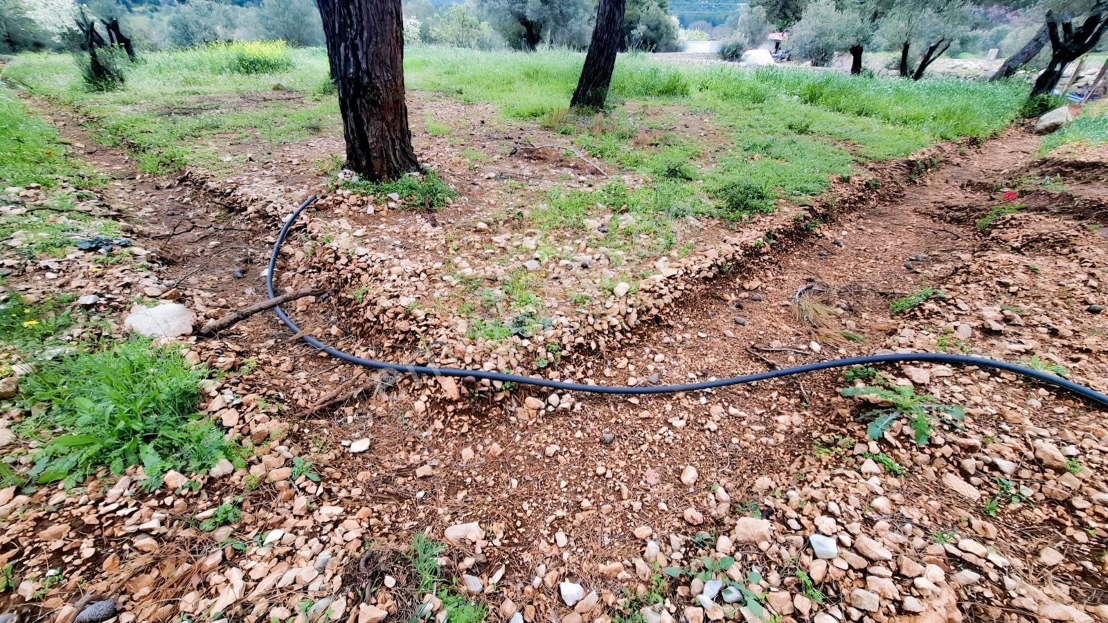 Acil Satılık Güvenlikli Sitede Elektrik Ve Suyu Olan Parsel - Görsel 6