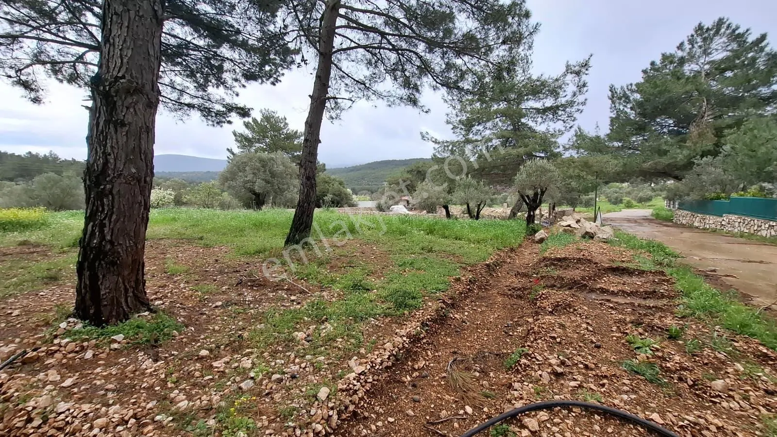 Acil Satılık Güvenlikli Sitede Elektrik Ve Suyu Olan Parsel - Görsel 2