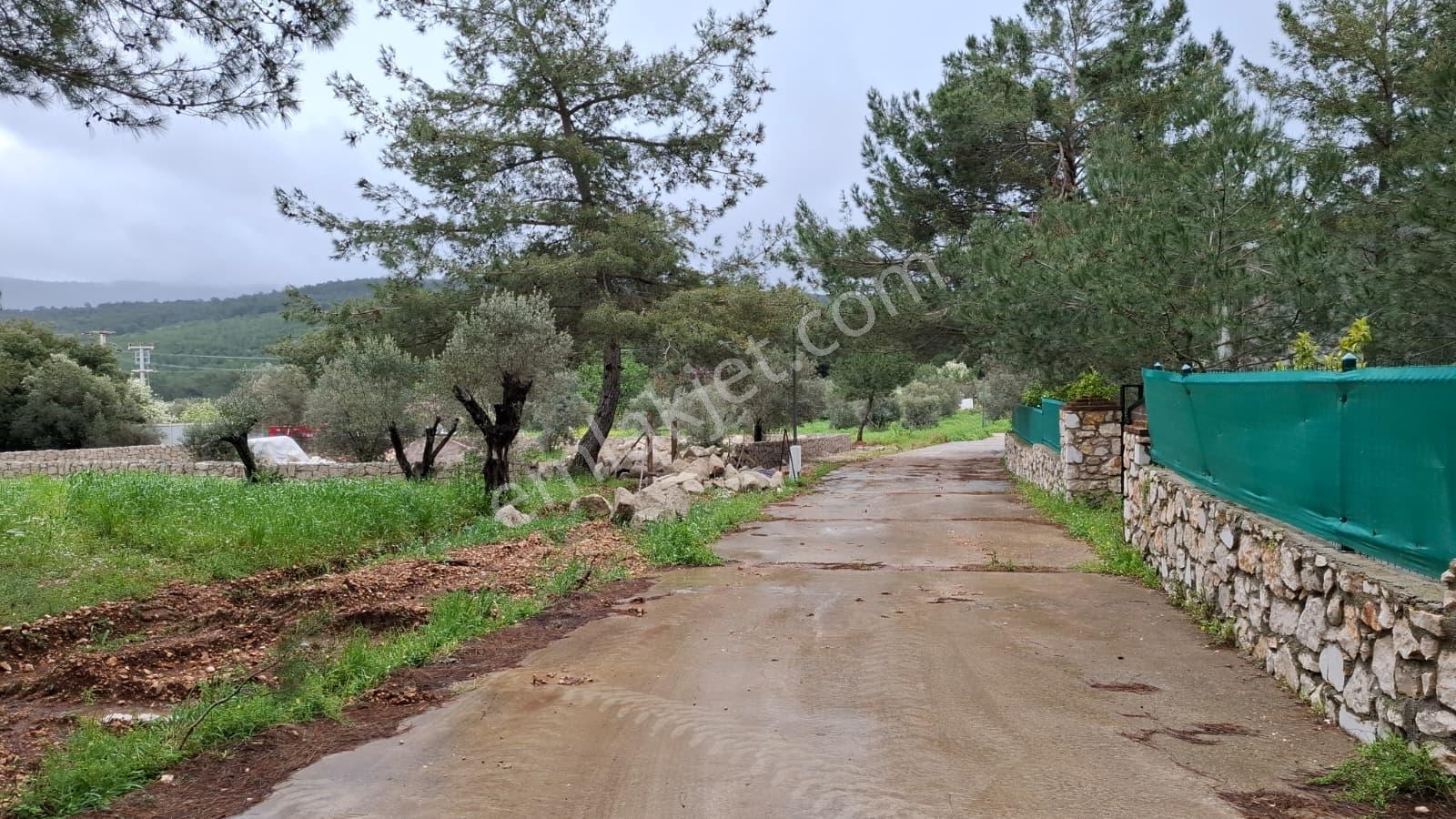 Acil Satılık Güvenlikli Sitede Elektrik Ve Suyu Olan Parsel - Görsel 10