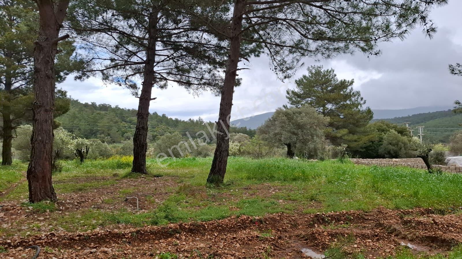 Acil Satılık Güvenlikli Sitede Elektrik Ve Suyu Olan Parsel - Görsel 8