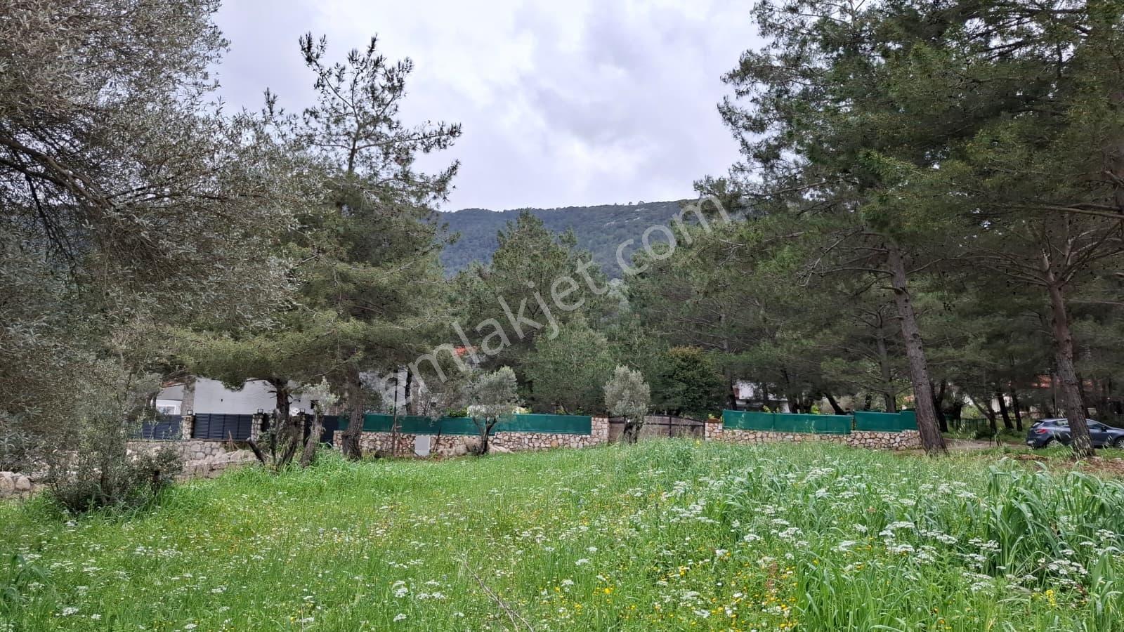 Acil Satılık Güvenlikli Sitede Elektrik Ve Suyu Olan Parsel - Görsel 9