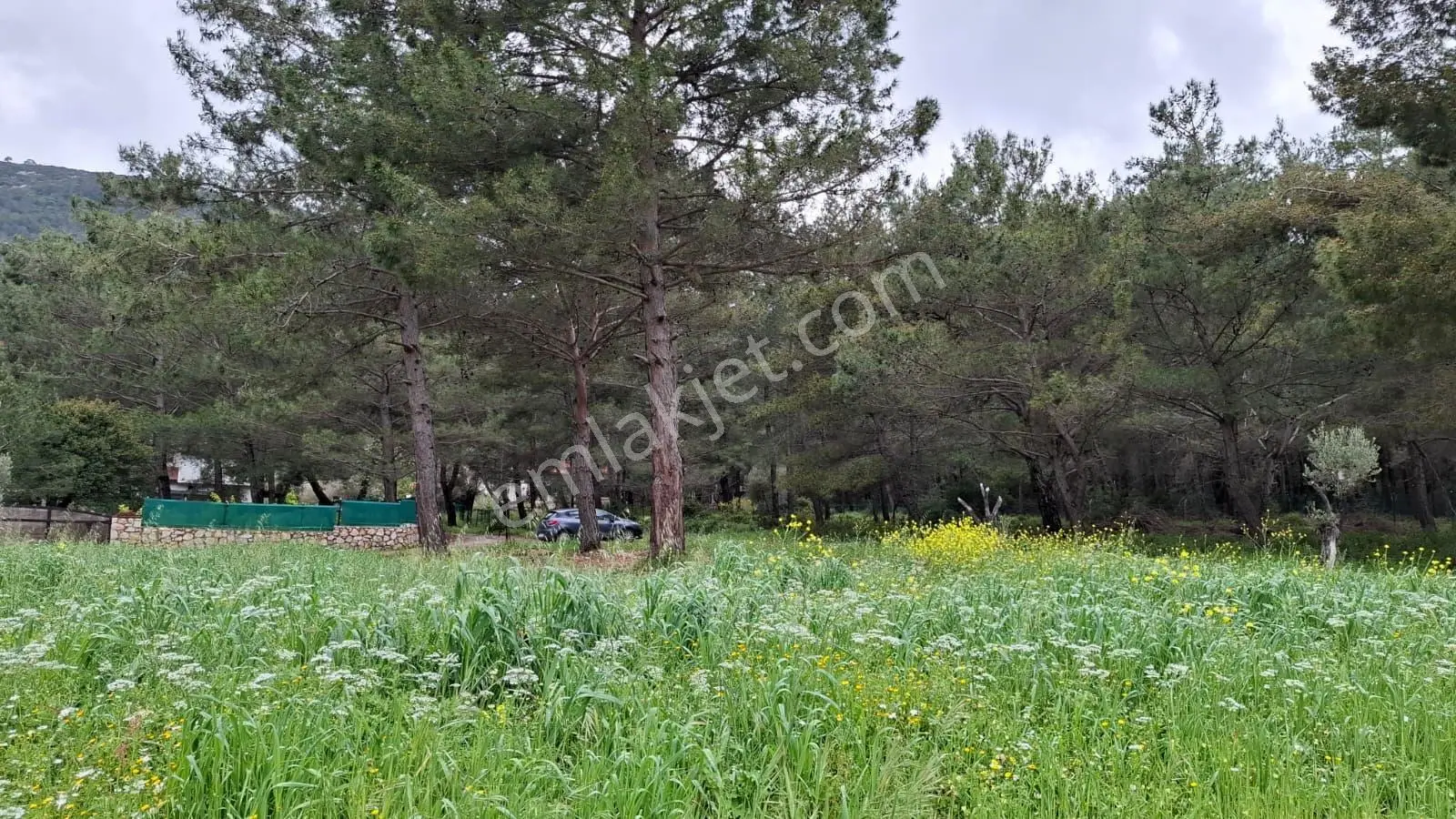 Acil Satılık Güvenlikli Sitede Elektrik Ve Suyu Olan Parsel - Görsel 5