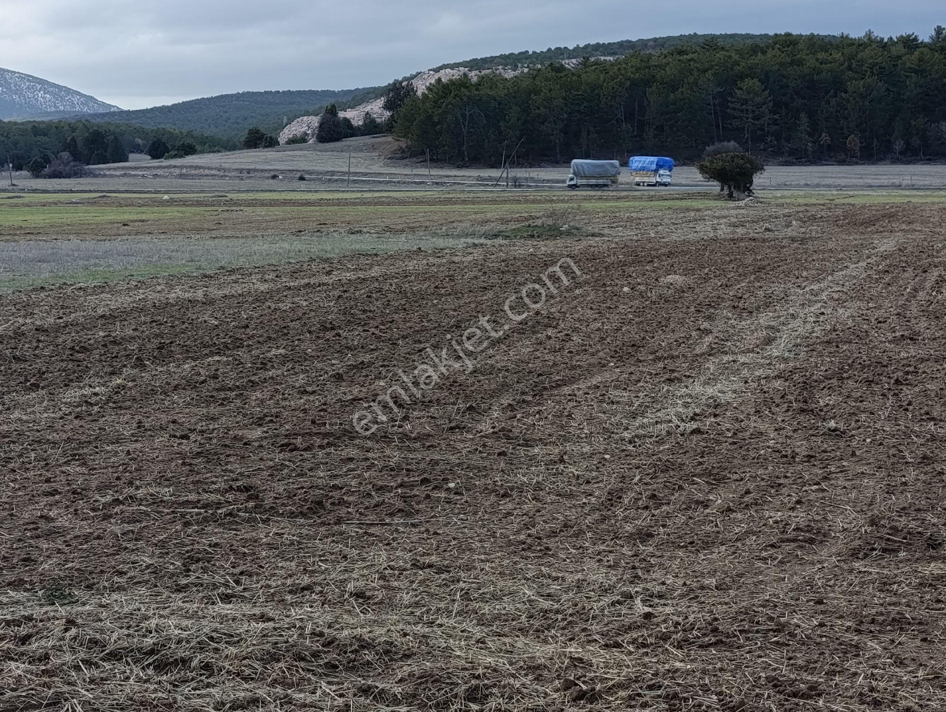 Kütahya Altıntaş Pınarcık Köyü Fırsat Ürün Tarla Arsa Arazi Bağ Bahçe - Görsel 7
