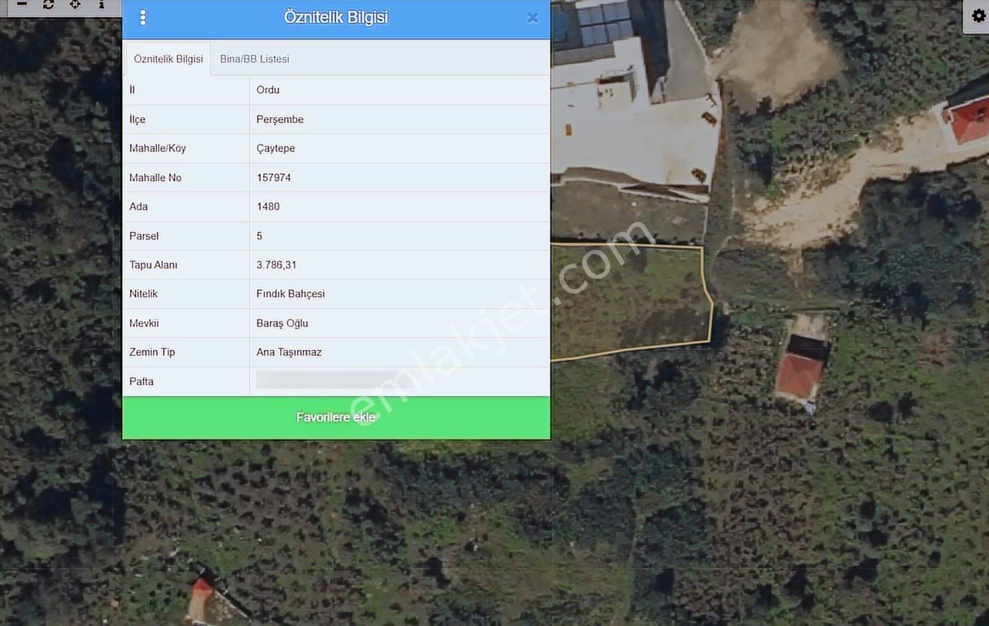 Perşembe Yason Burnunda Satılık 3.786 M2. Eğimsiz Bahçe. - Görsel 20