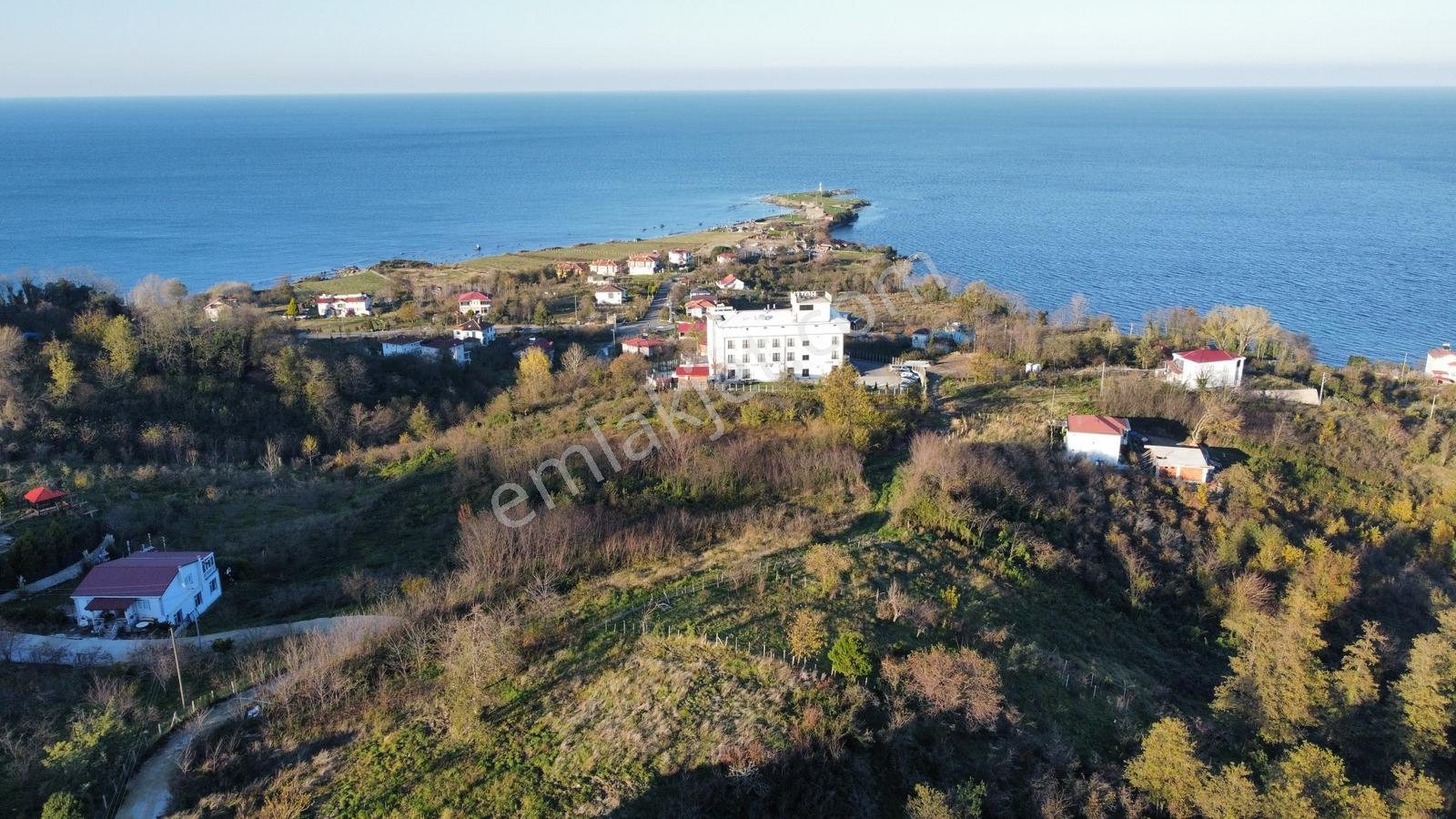 Perşembe Yason Burnunda Satılık 3.786 M2. Eğimsiz Bahçe. - Görsel 2