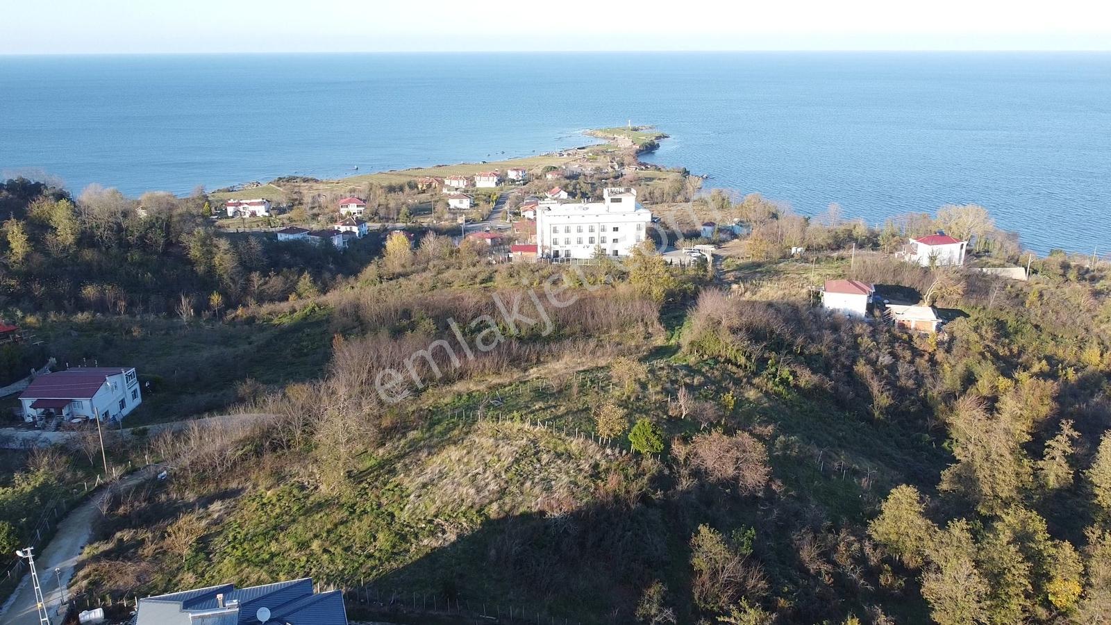 Perşembe Yason Burnunda Satılık 3.786 M2. Eğimsiz Bahçe. - Görsel 13