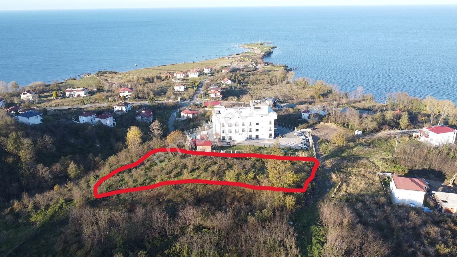 Perşembe Yason Burnunda Satılık 3.786 M2. Eğimsiz Bahçe. - Görsel 22