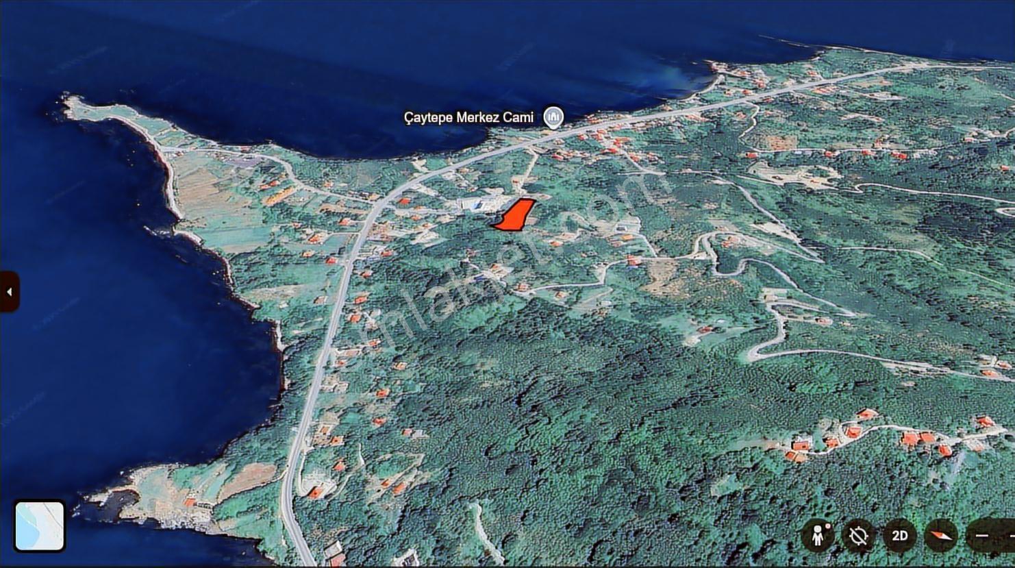 Perşembe Yason Burnunda Satılık 3.786 M2. Eğimsiz Bahçe. - Görsel 9