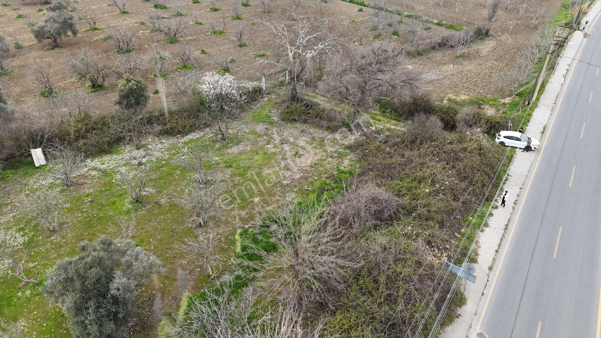 Ortaklar'da Anayol Üzerı Satılık 1.559 M² Tarla