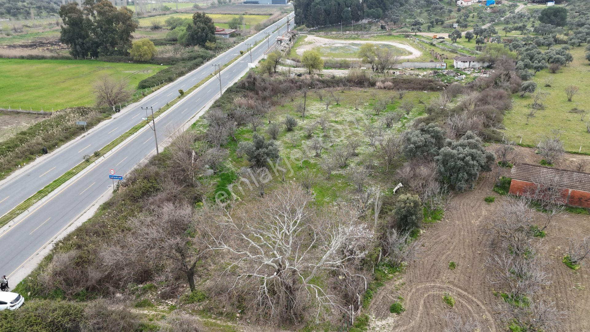 Ortaklar'da Anayol Üzerı Satılık 1.559 M² Tarla - Görsel 3