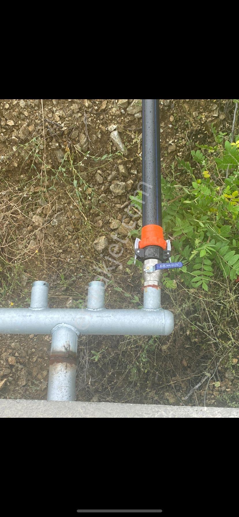 🎯 Tarpak Ta Satılık Meyve Bahçesi 🎯 - Görsel 12