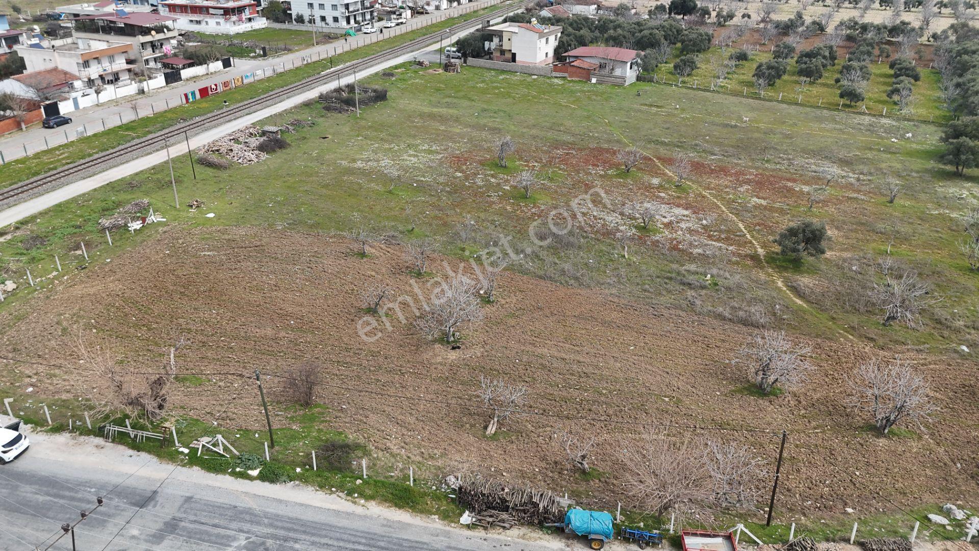 Ortaklar Merkezde Satılık Imara Yakın Tarla