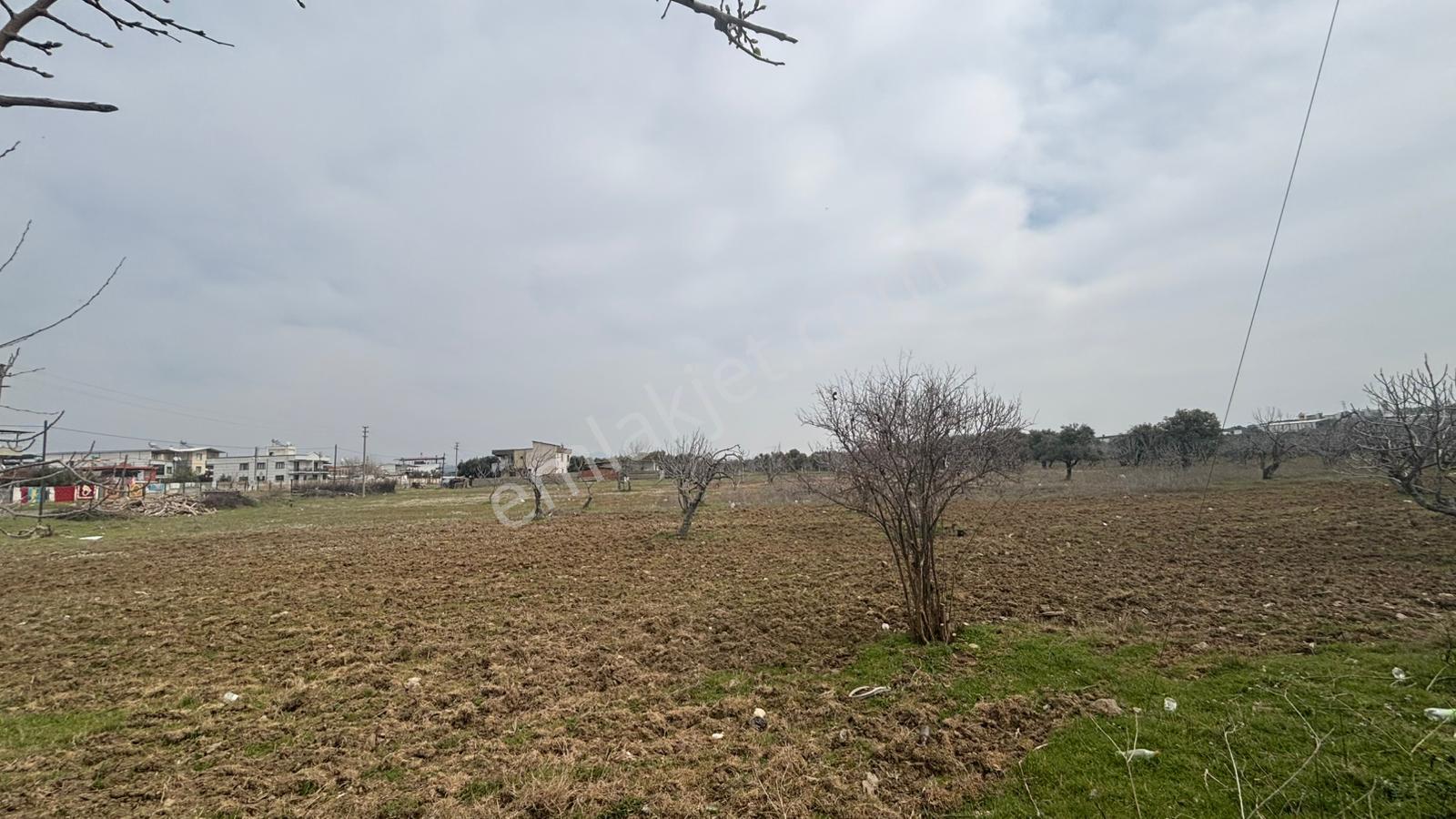 Ortaklar Merkezde Satılık Imara Yakın Tarla - Görsel 3