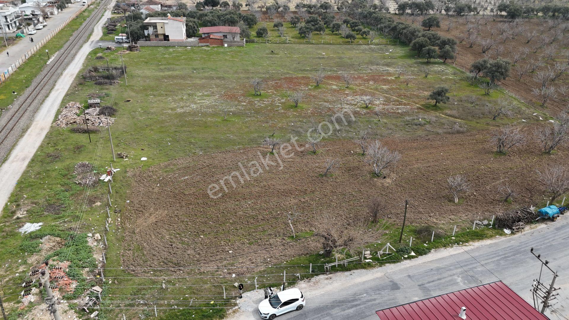 Ortaklar Merkezde Satılık Imara Yakın Tarla - Görsel 2