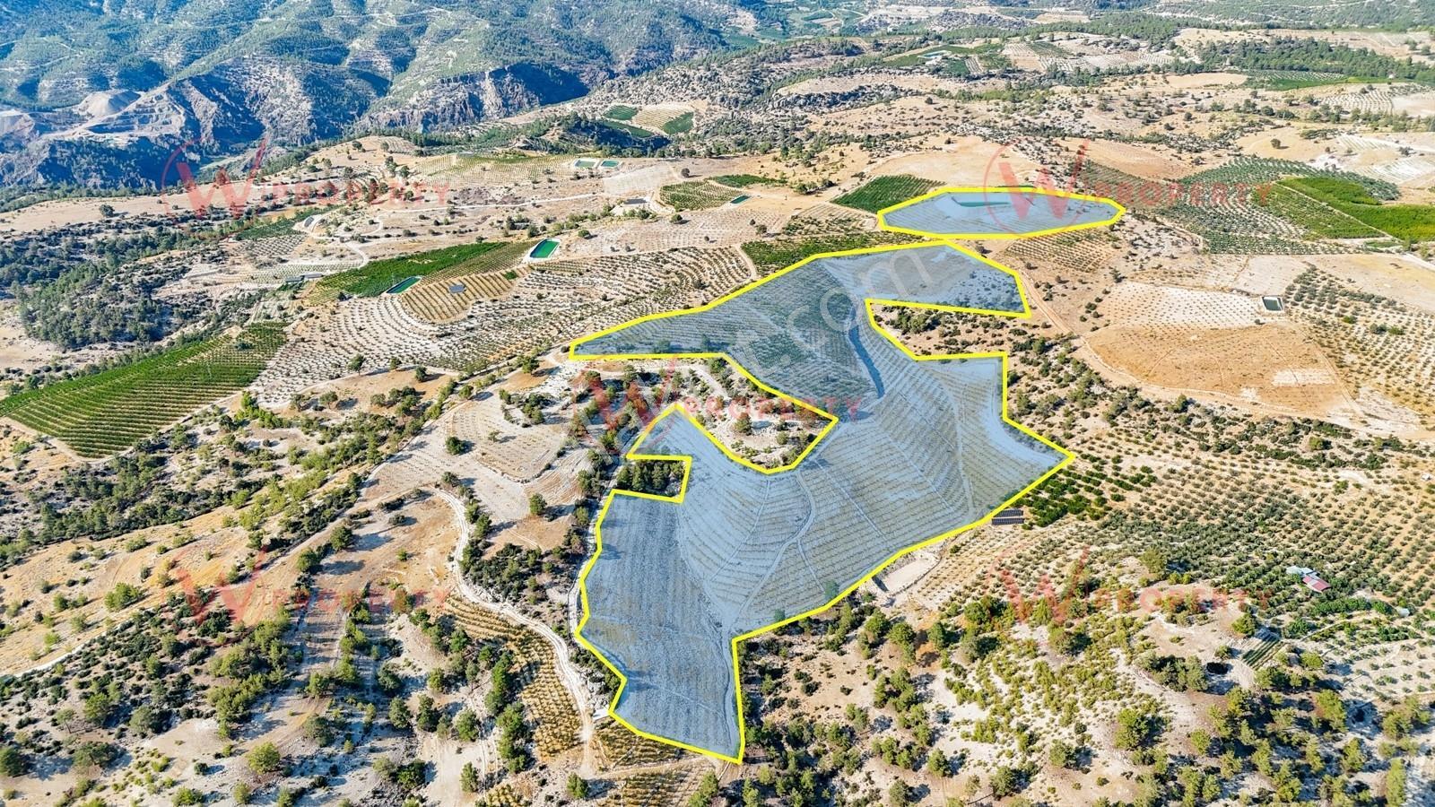 W Property Mut Kürkçü'de Takas'a Açık 90 Dönüm Kayısı Bahçesi - Görsel 2