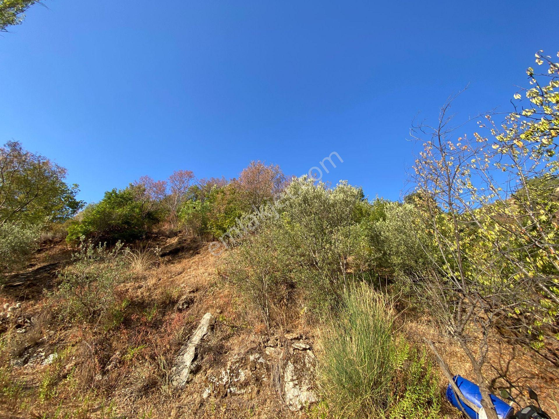 Mersin Anamur Karaçukur Satılık Tarla(fiyatı Düşürdük) - Görsel 8