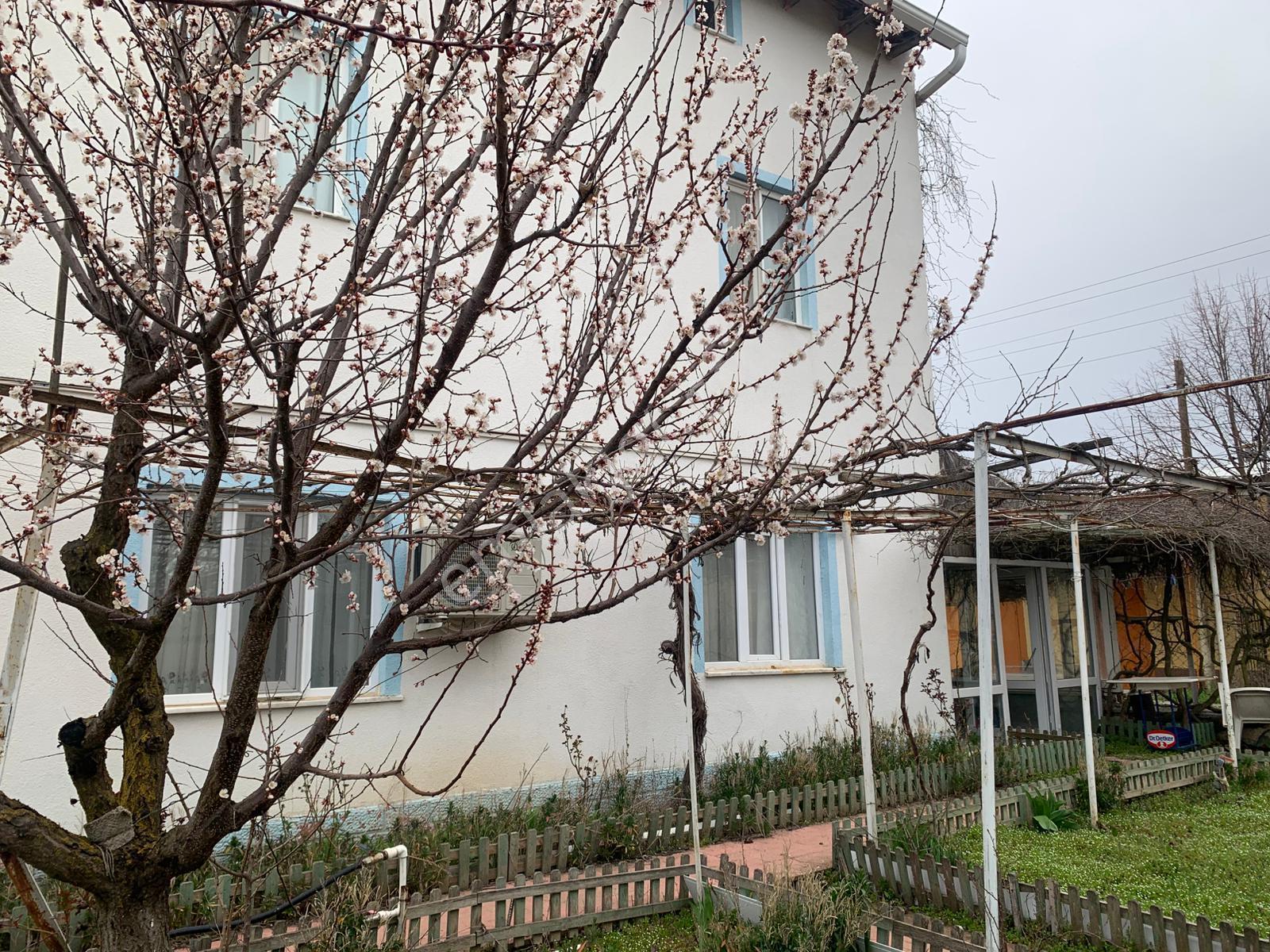 İmişehir Köy İçi, Köşebaşı 3 Katlı Ev - Görsel 9