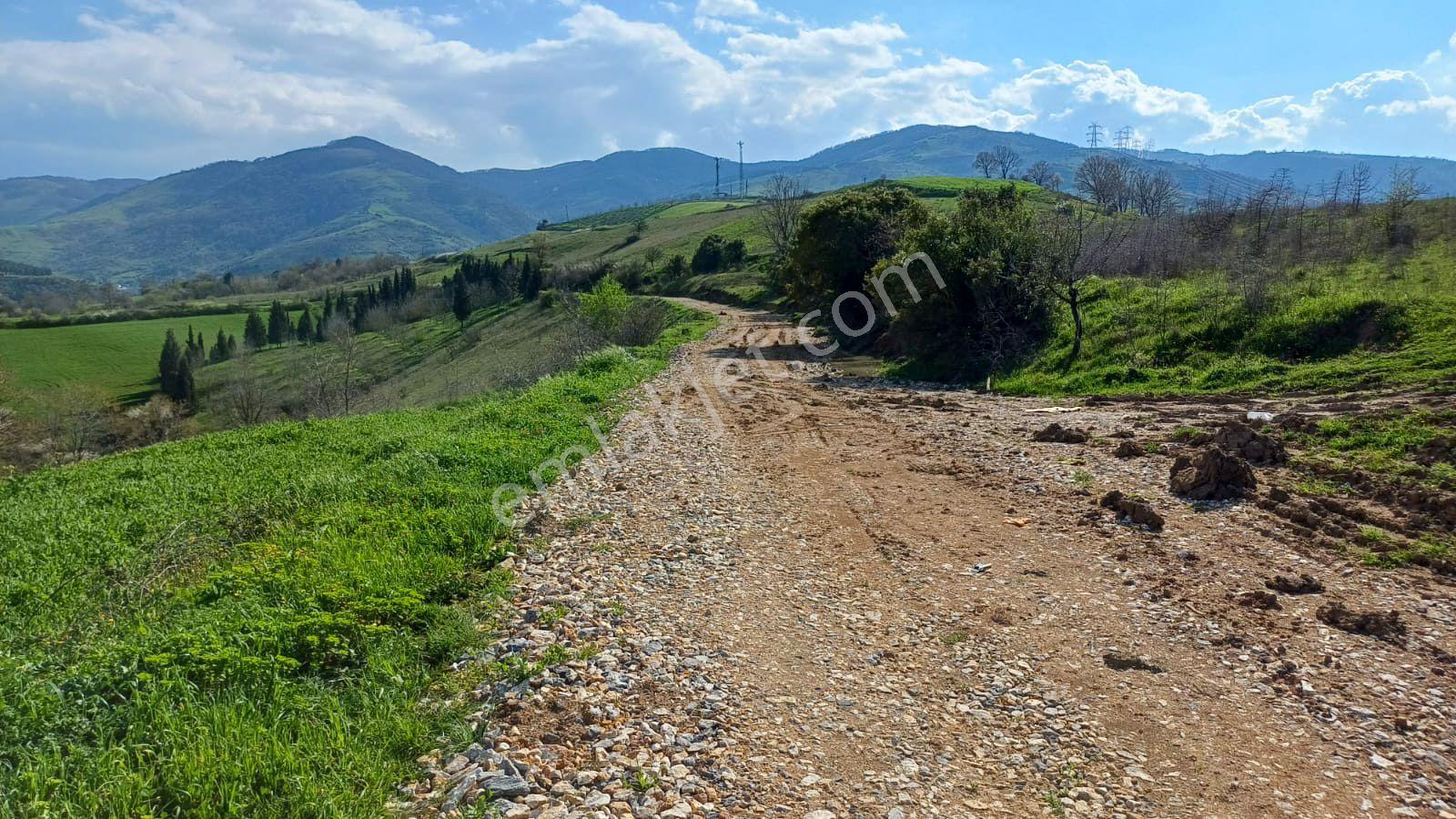 Uzmanlar'dan Kızderbent 6325 M2 %5 İmarlı Satılık Tarla - Görsel 14