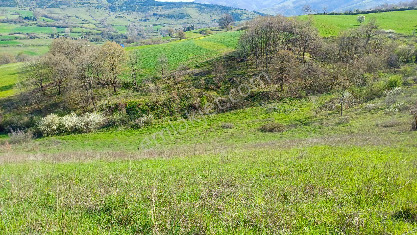Uzmanlar'dan Kızderbent 6325 M2 %5 İmarlı Satılık Tarla - Görsel 10