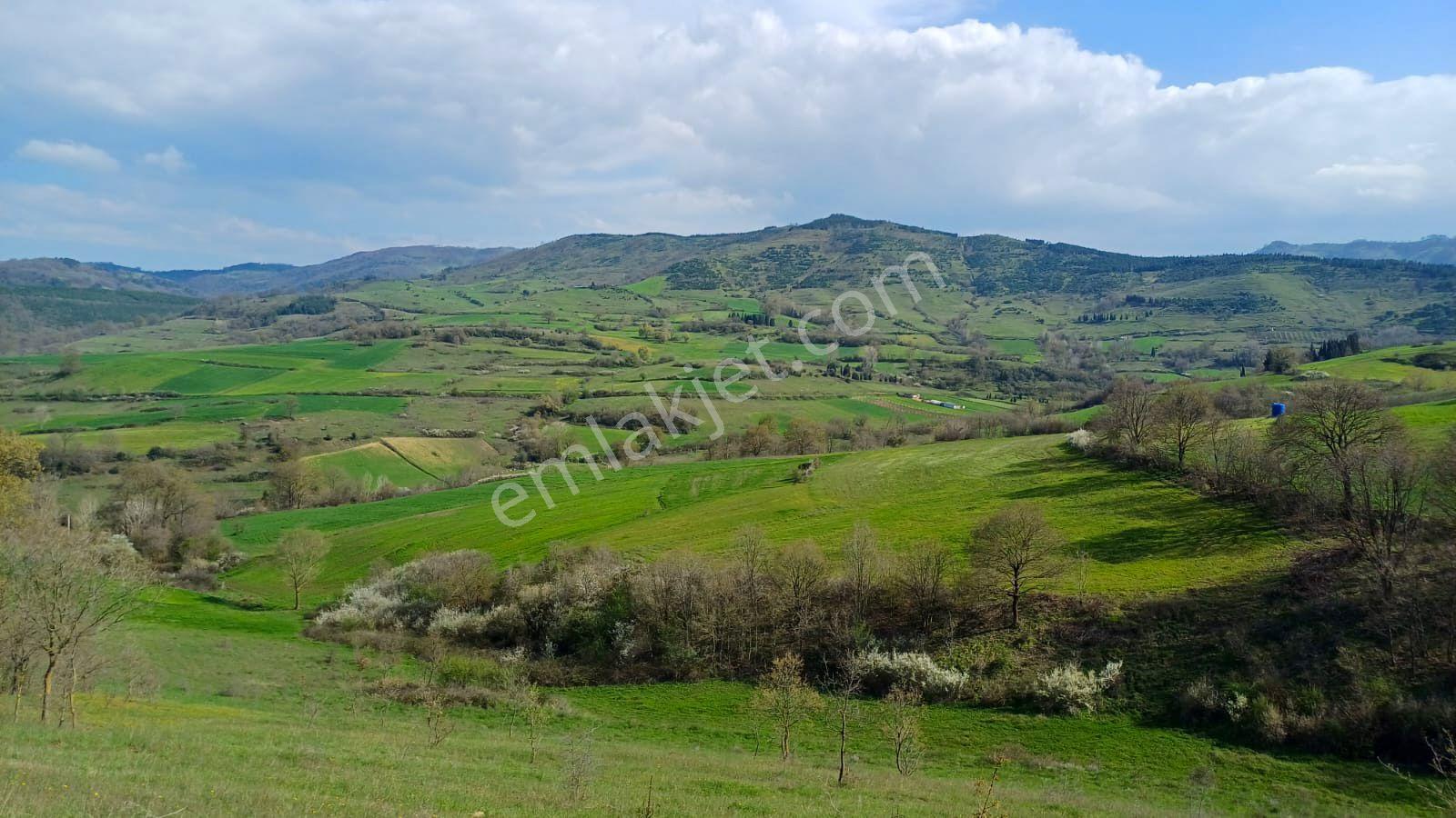 Uzmanlar'dan Kızderbent 6325 M2 %5 İmarlı Satılık Tarla