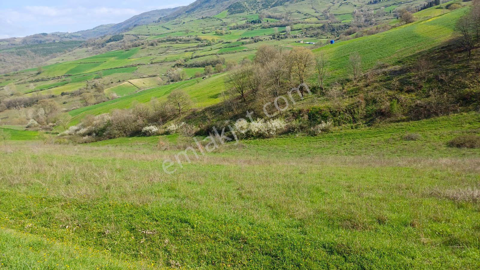 Uzmanlar'dan Kızderbent 6325 M2 %5 İmarlı Satılık Tarla - Görsel 3