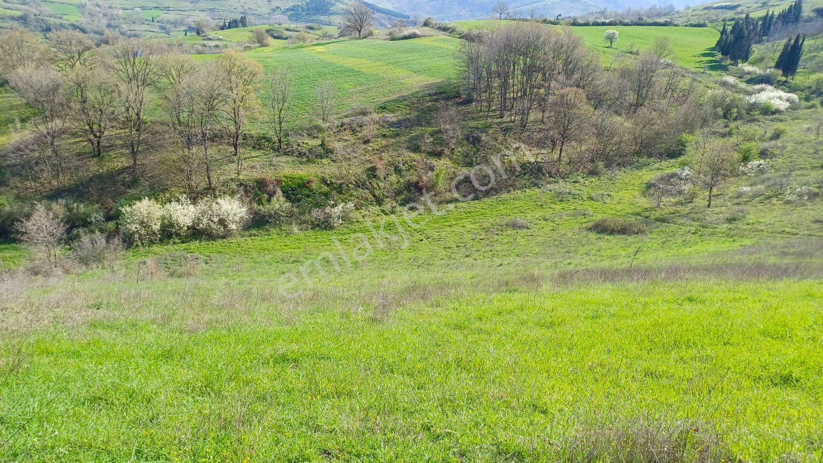 Uzmanlar'dan Kızderbent 6325 M2 %5 İmarlı Satılık Tarla - Görsel 7