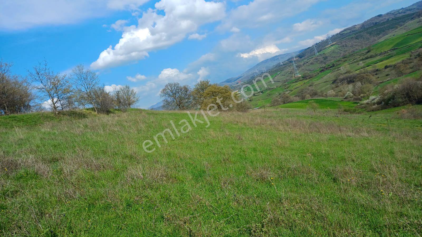 Uzmanlar'dan Kızderbent 6325 M2 %5 İmarlı Satılık Tarla - Görsel 4
