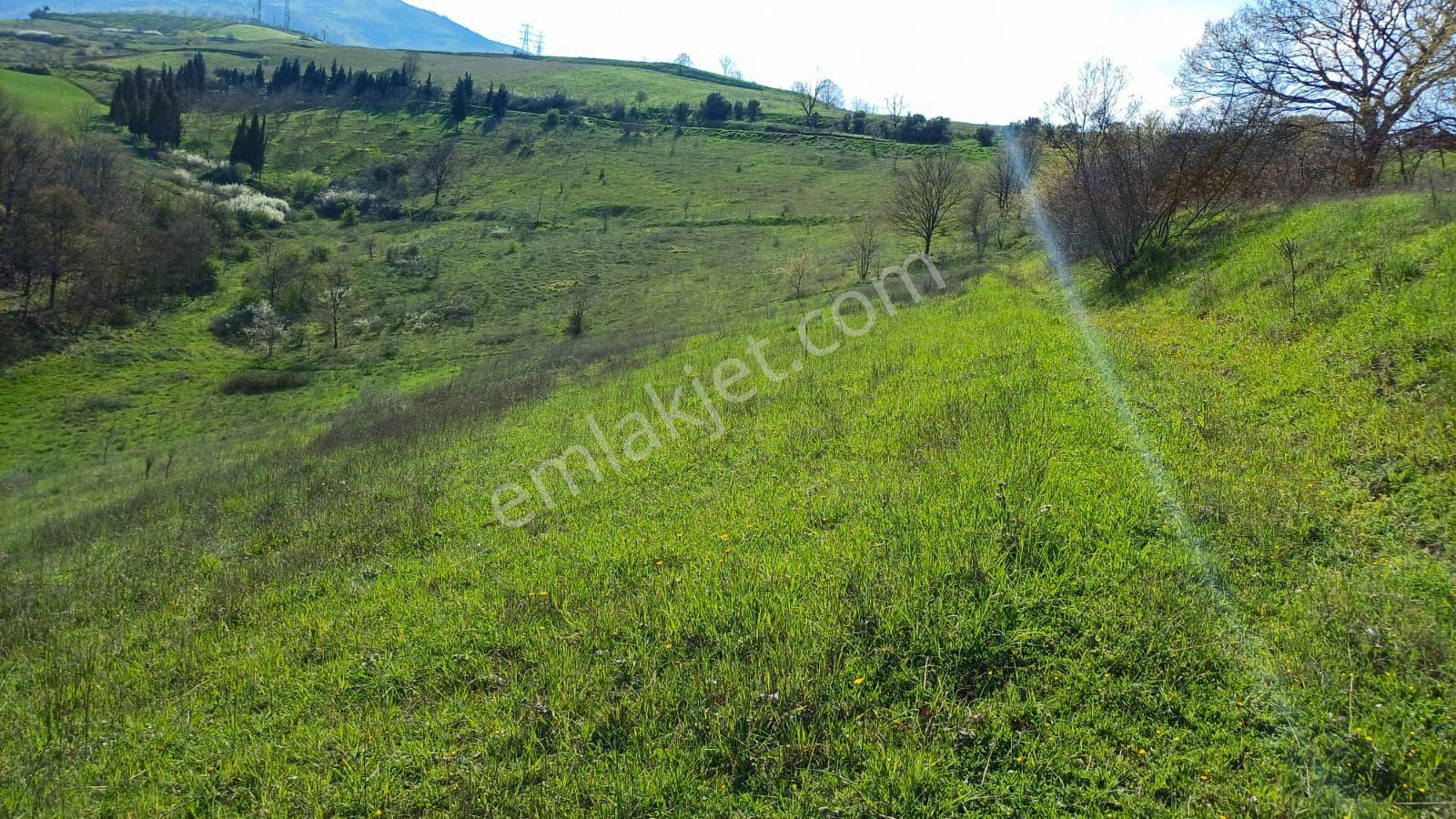 Uzmanlar'dan Kızderbent 6325 M2 %5 İmarlı Satılık Tarla - Görsel 13