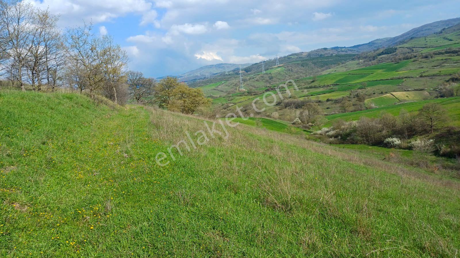 Uzmanlar'dan Kızderbent 6325 M2 %5 İmarlı Satılık Tarla - Görsel 12