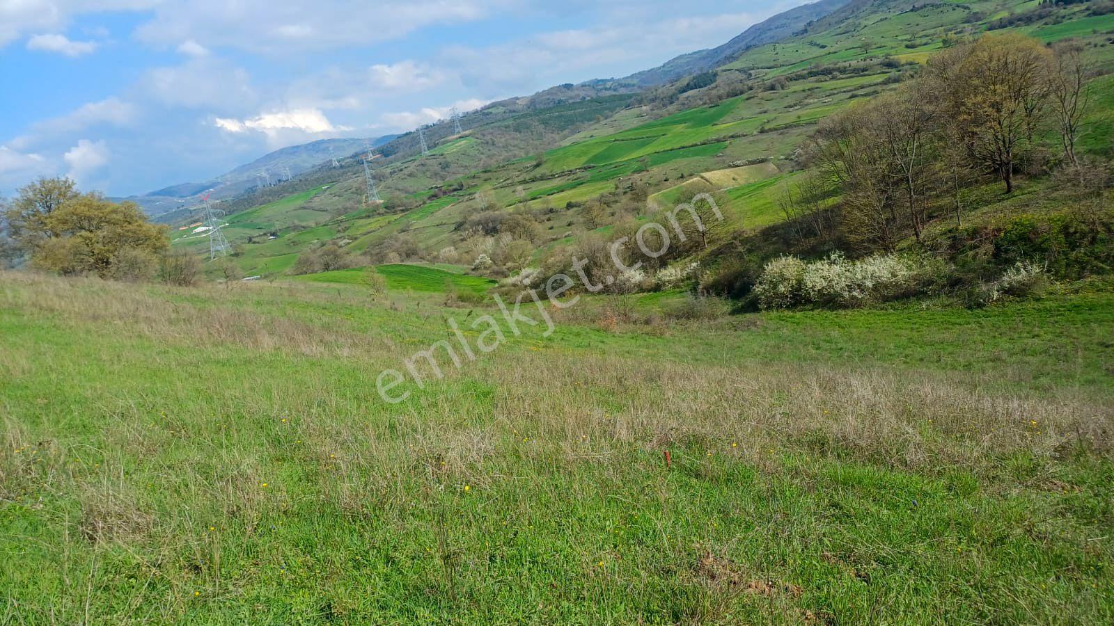 Uzmanlar'dan Kızderbent 6325 M2 %5 İmarlı Satılık Tarla - Görsel 5